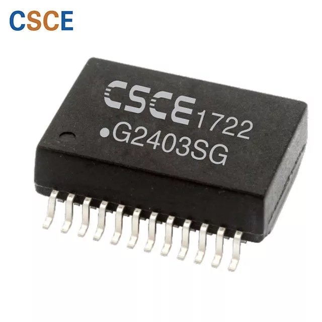 G2403SG